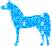konik